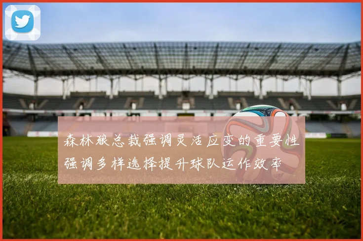 森林狼总裁强调灵活应变的重要性强调多样选择提升球队运作效率