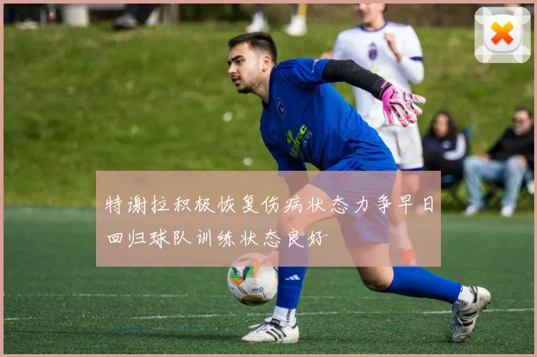 特谢拉积极恢复伤病状态力争早日回归球队训练状态良好